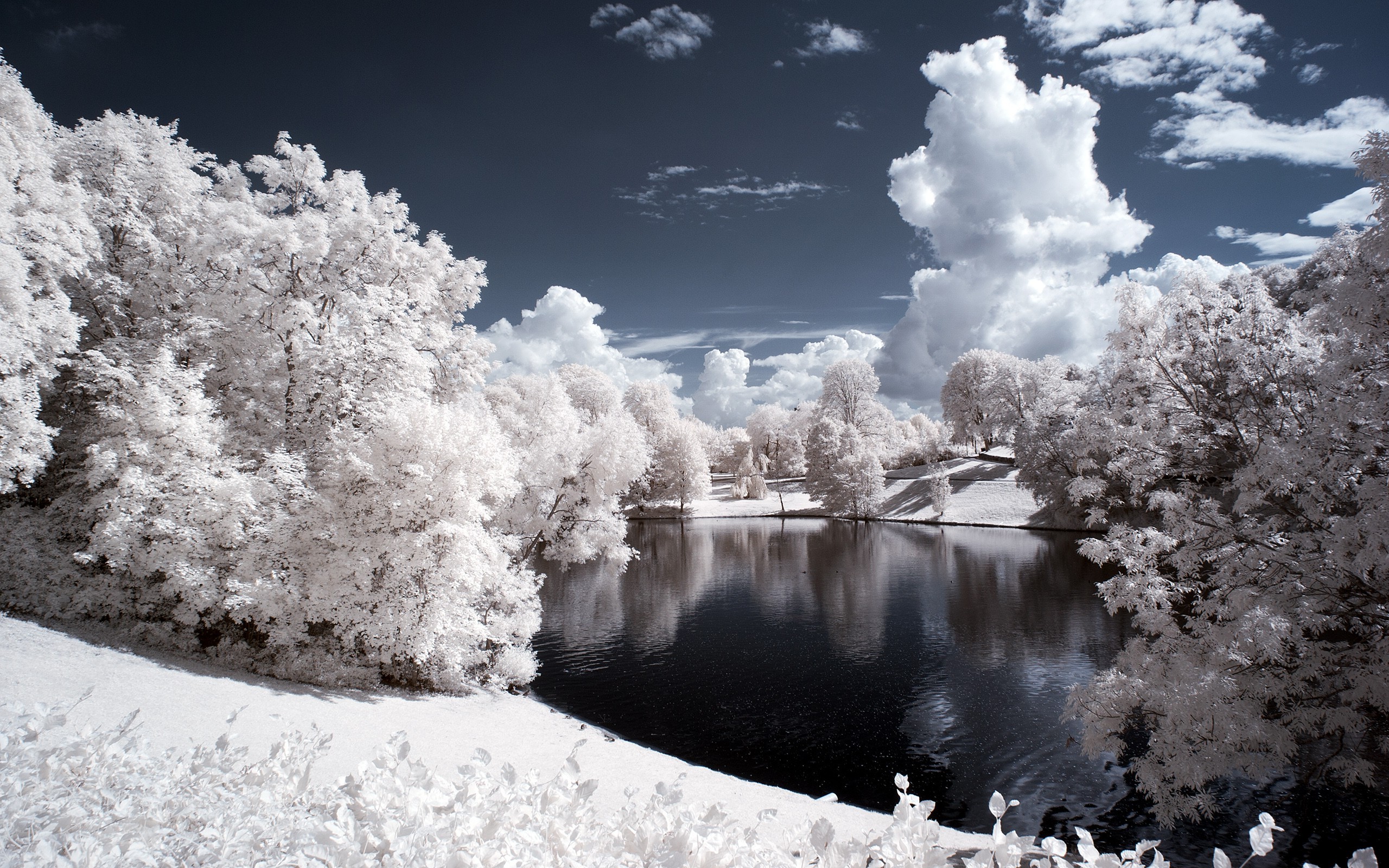 Nature Winter Snow Trees Water Pond Wallpapers HD Desktop