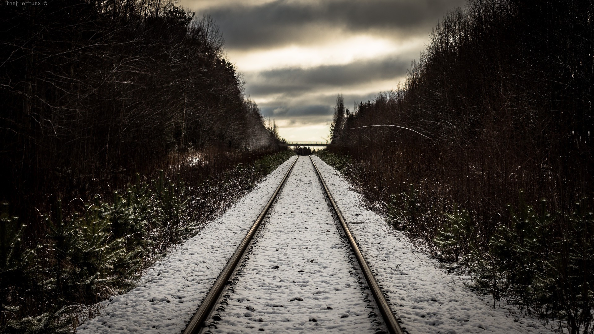 nature, Railway, Snow Wallpaper