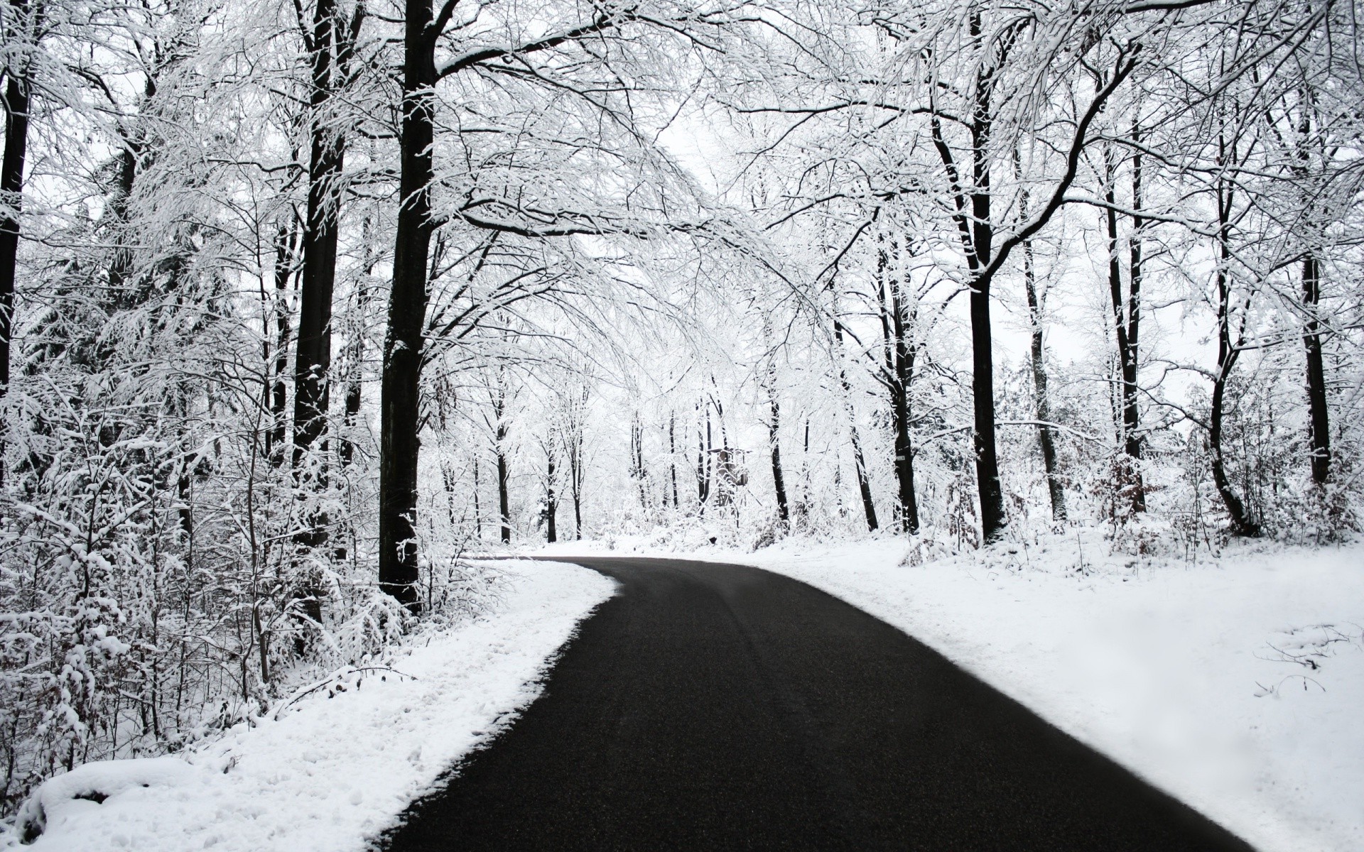 nature, Road, Snow, Winter, Trees Wallpaper