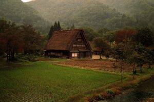 nature, Cabin, Grass, Forest, Japan