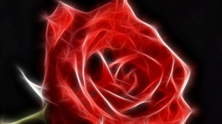 rose, Fractalius, Flowers, Red Flowers HD Wallpaper Desktop Background