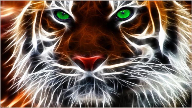 tiger, Animals, Fractalius HD Wallpaper Desktop Background