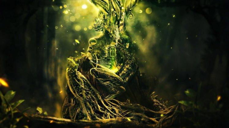 roots, Trees, Door, Branch, Digital Art, Forest, Desktopography HD Wallpaper Desktop Background