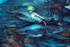 shark, Underwater