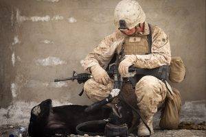 soldier, Dog