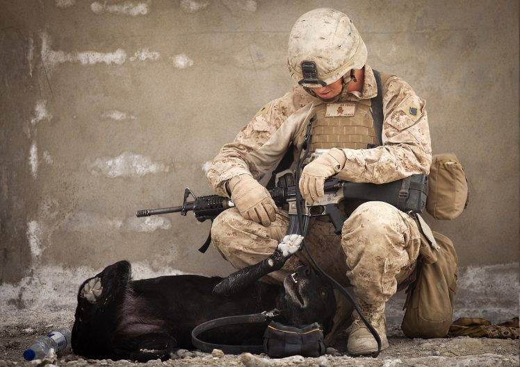 soldier, Dog HD Wallpaper Desktop Background
