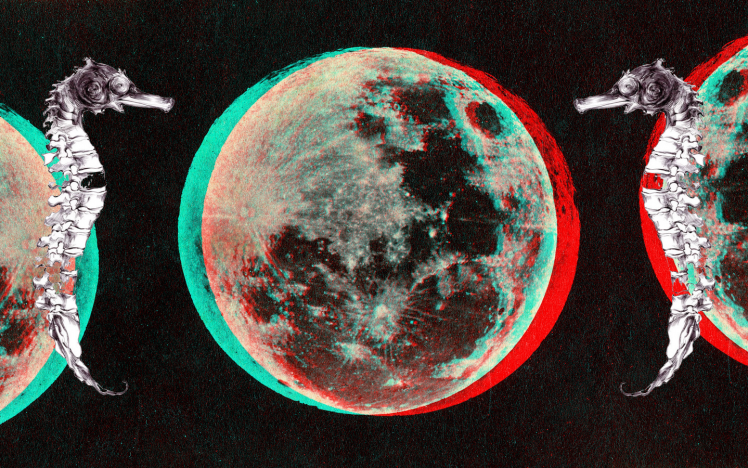 moon, 3D, Anaglyph 3D HD Wallpaper Desktop Background