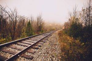 landscape, Railway, Trees, Fall, Mist