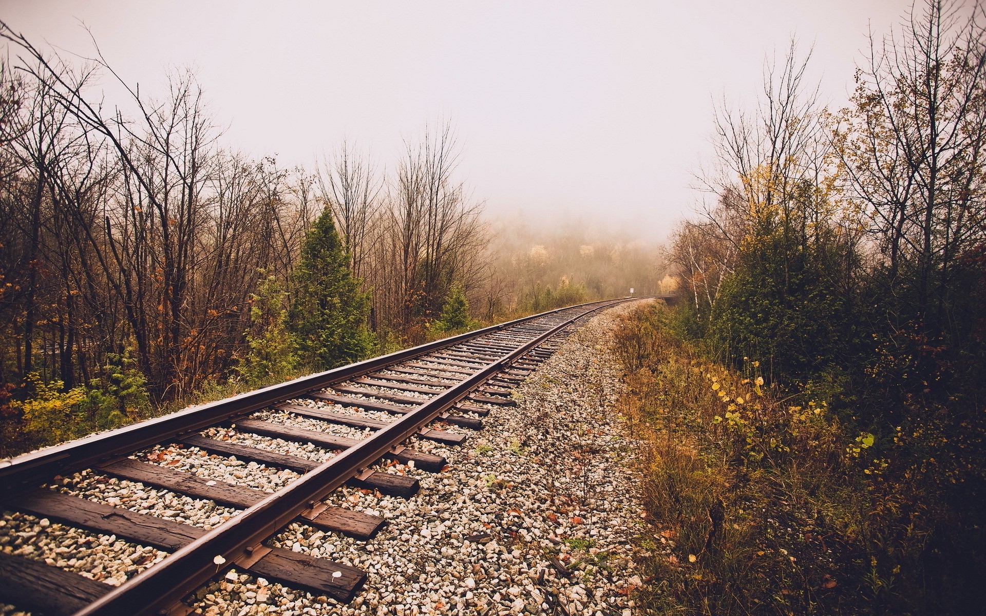 landscape, Railway, Trees, Fall, Mist Wallpaper
