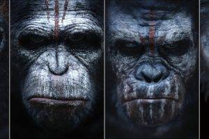Planet Of The Apes, Dawn Of The Planet Of The Apes, Apes, Movies