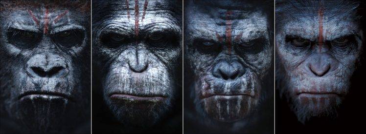 Planet Of The Apes, Dawn Of The Planet Of The Apes, Apes, Movies HD Wallpaper Desktop Background