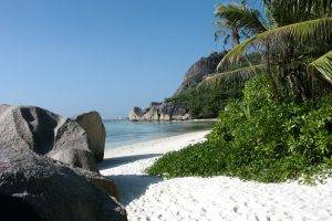 nature, Beach, Palm Trees, Stones