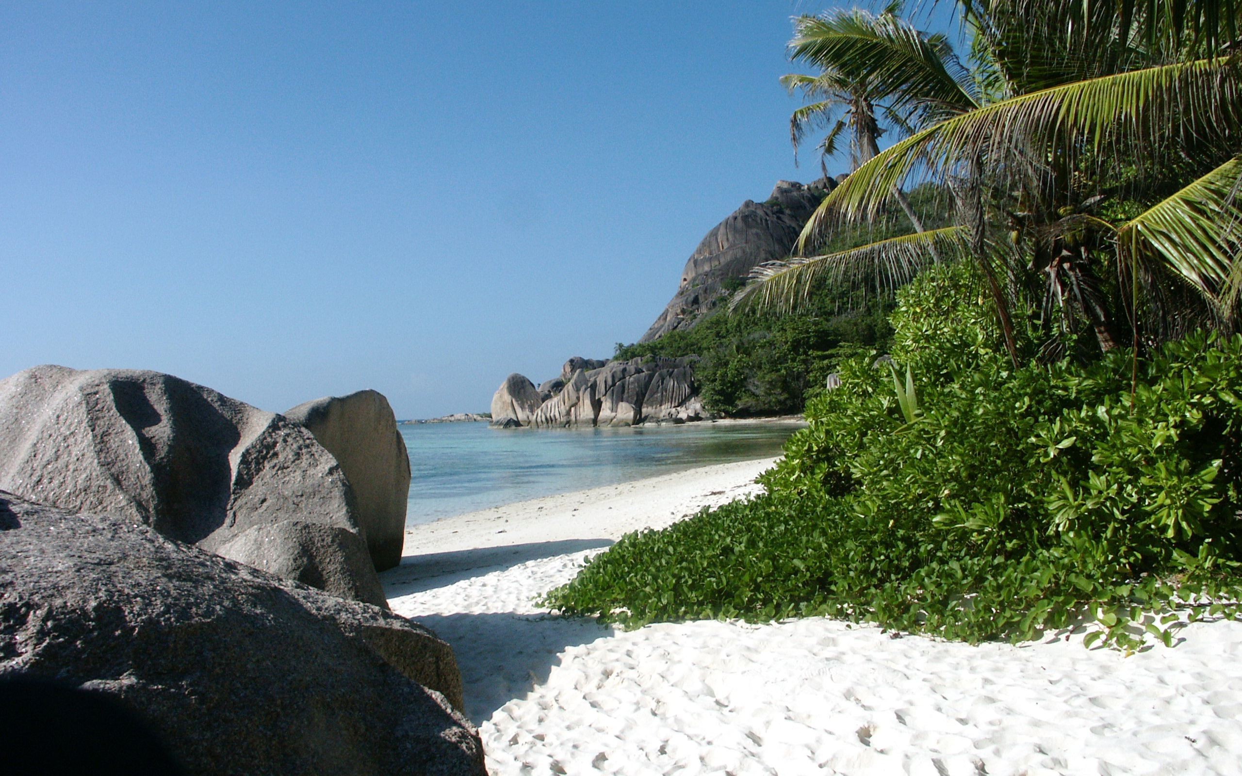 nature, Beach, Palm Trees, Stones Wallpaper