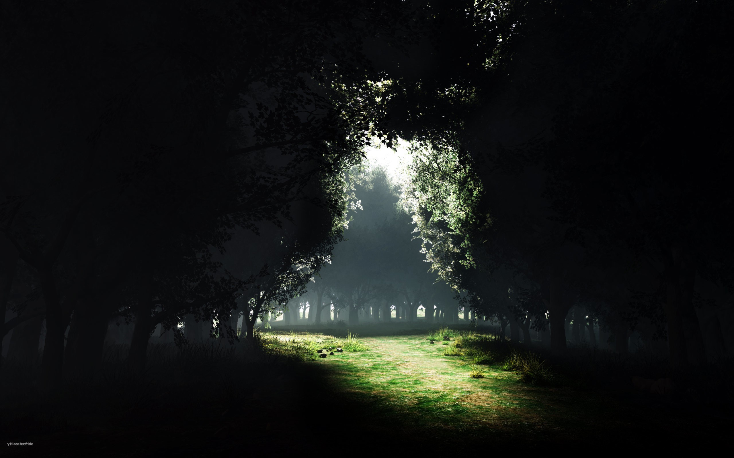 nature Wallpaper