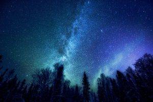 trees, Nature, Stars, Milky Way