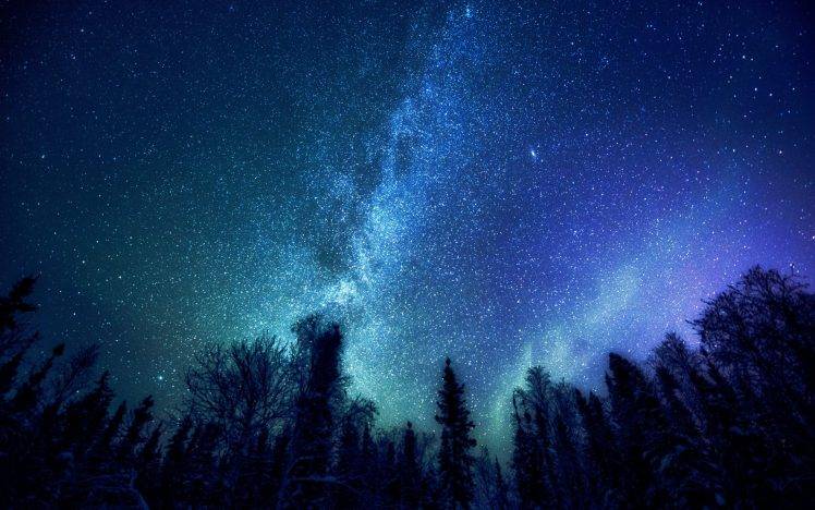 trees, Nature, Stars, Milky Way HD Wallpaper Desktop Background