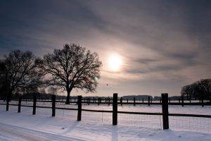snow, Fence, Nature, Winter, Trees