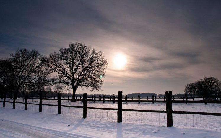 snow, Fence, Nature, Winter, Trees HD Wallpaper Desktop Background