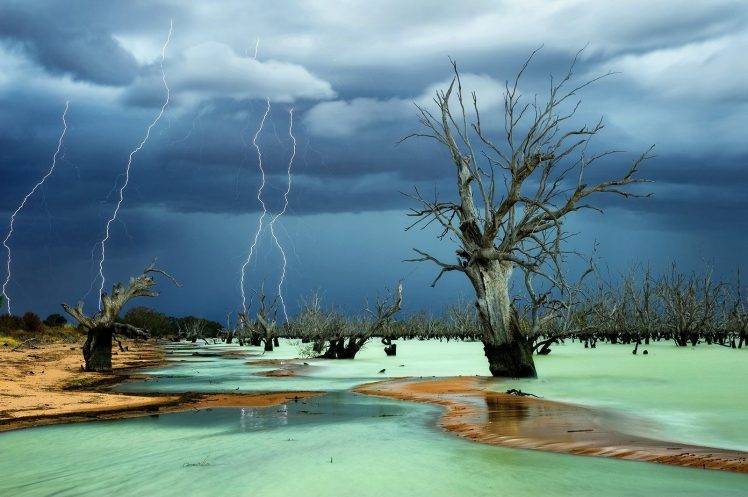 lightning, Storm, Dead Trees, Beach, Nature HD Wallpaper Desktop Background