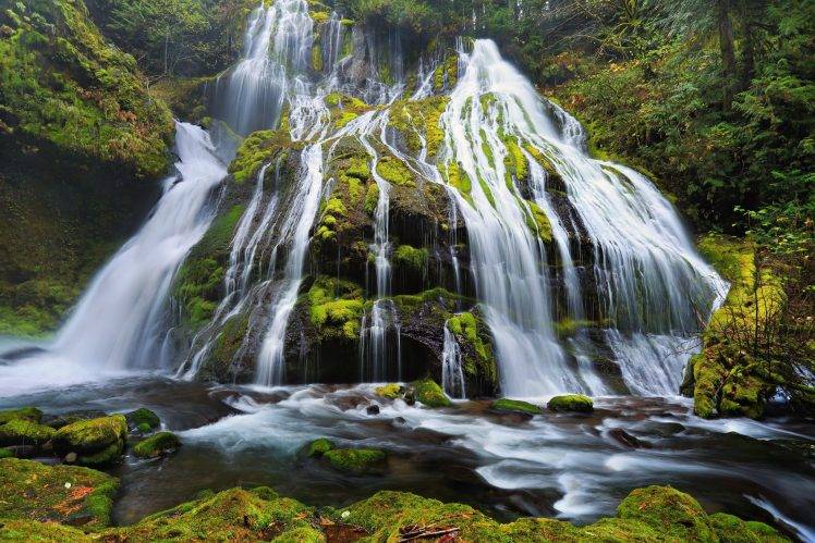 nature, Waterfall, Water, River, Forest HD Wallpaper Desktop Background