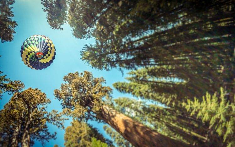 nature, Trees, Forest, Leaves, Hot Air Balloons, Pine Trees, Sky, Worms Eye View, Depth Of Field HD Wallpaper Desktop Background