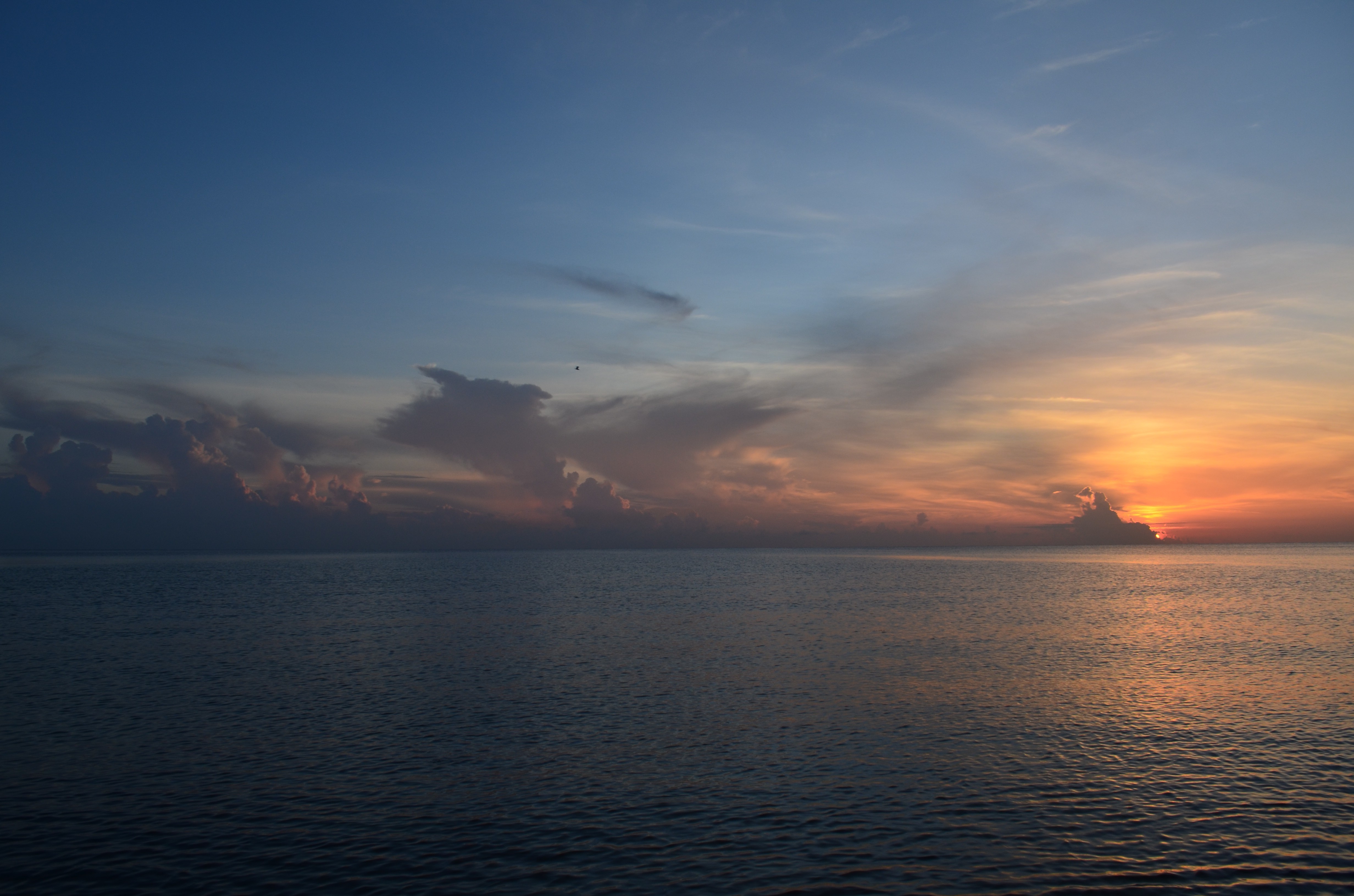 nature, Water, Sunset Wallpaper