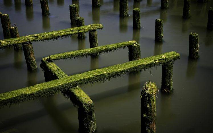 nature, Water, Long Exposure, Wood, Moss, Shadow, Pier, Ruin HD Wallpaper Desktop Background