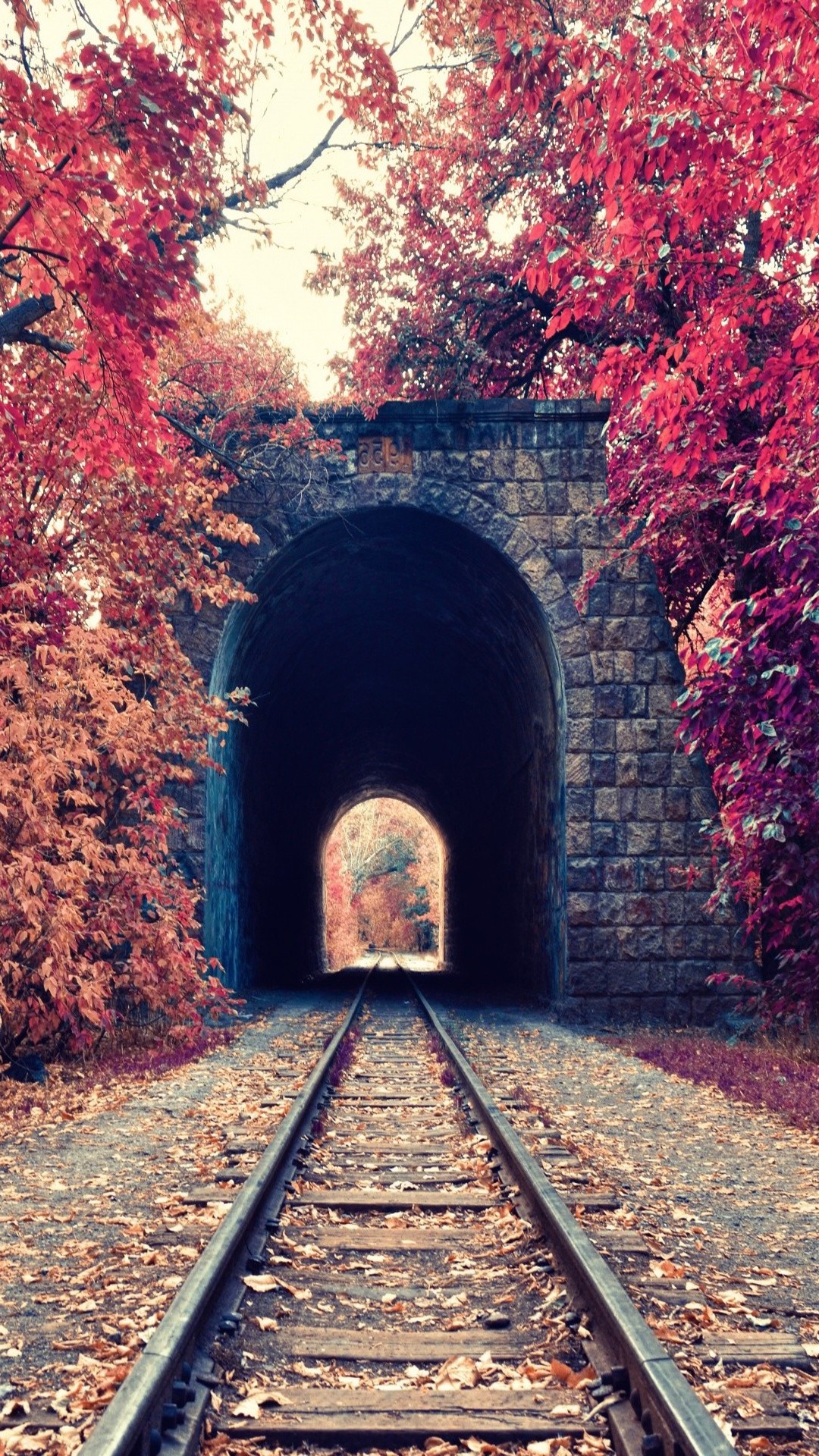 portrait Display, Nature, Trees, Fall, Leaves, Railway, Tunnel, Red