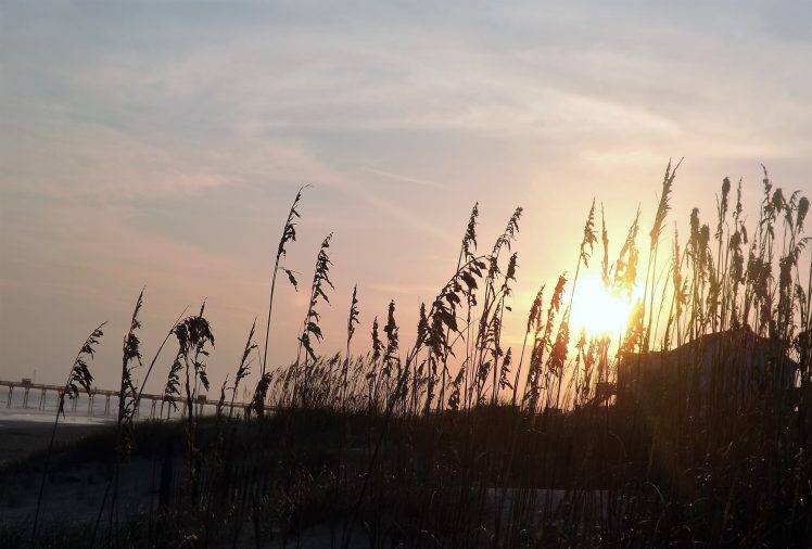 sunrise, Beach, Nature, Grass, Clouds, Sky HD Wallpaper Desktop Background