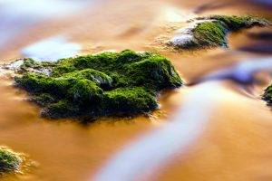 nature, Photography, Chrome Cast, Moss, Rock, Water
