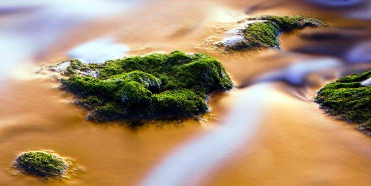 nature, Photography, Chrome Cast, Moss, Rock, Water HD Wallpaper Desktop Background