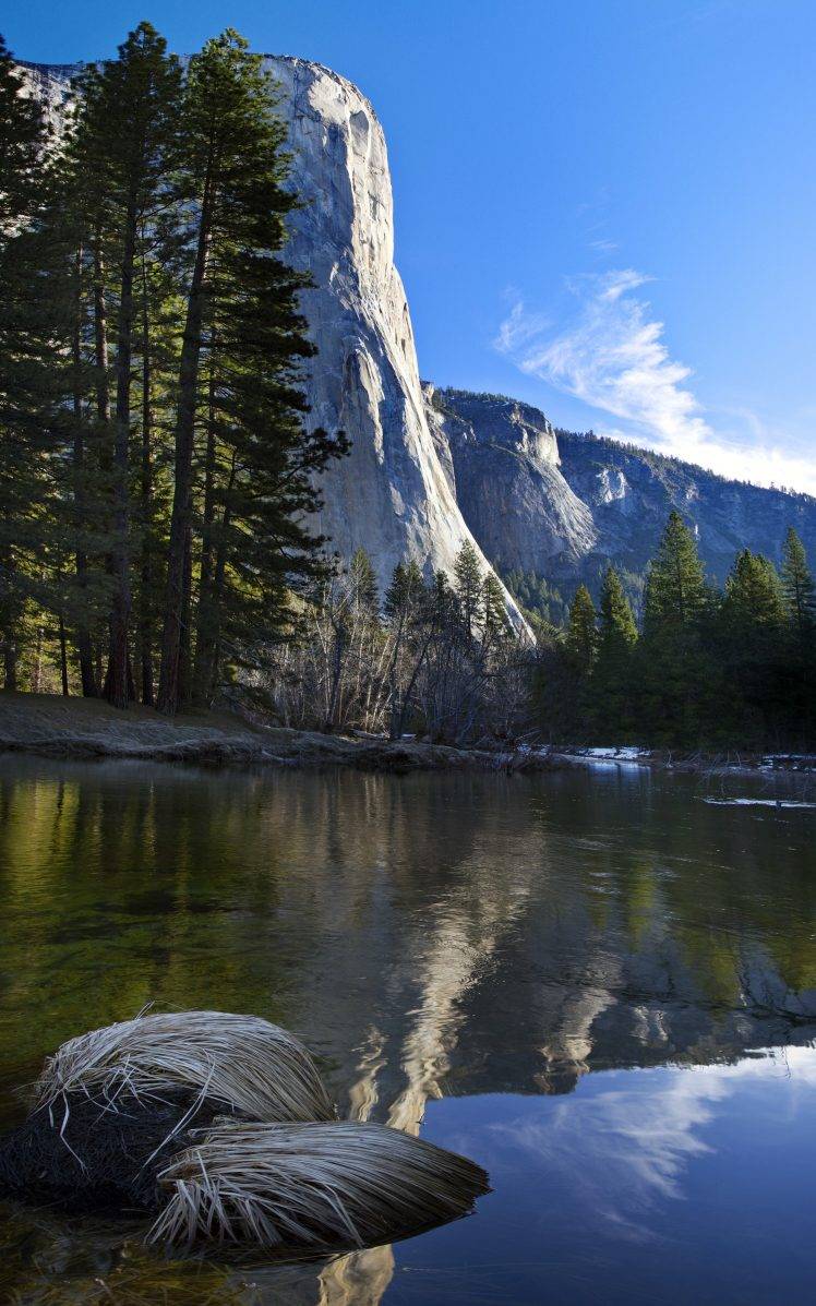 mountain, River, Forest, Nature, Portrait Display HD Wallpaper Desktop Background