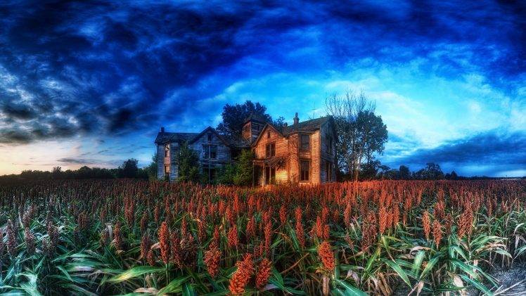 house, HDR, Clouds, Cabin, Plants, Trees, Nature, Abandoned HD Wallpaper Desktop Background