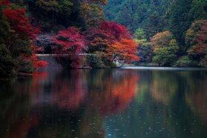nature, Fall, Water, Trees, Japan, Colorful