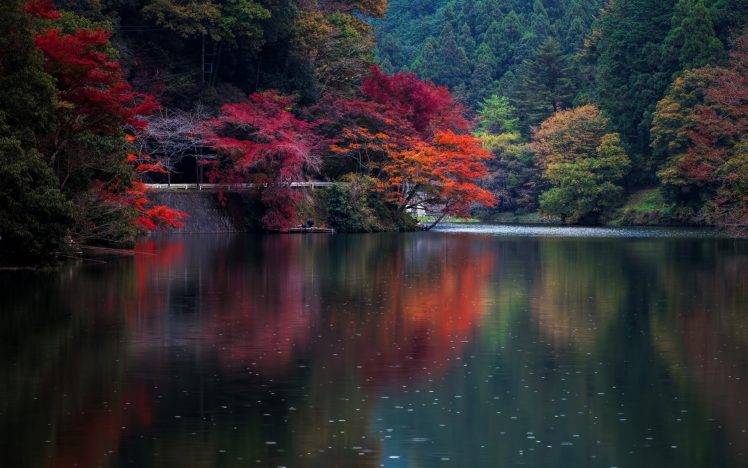 nature, Fall, Water, Trees, Japan, Colorful HD Wallpaper Desktop Background