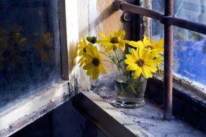 window, Flowers