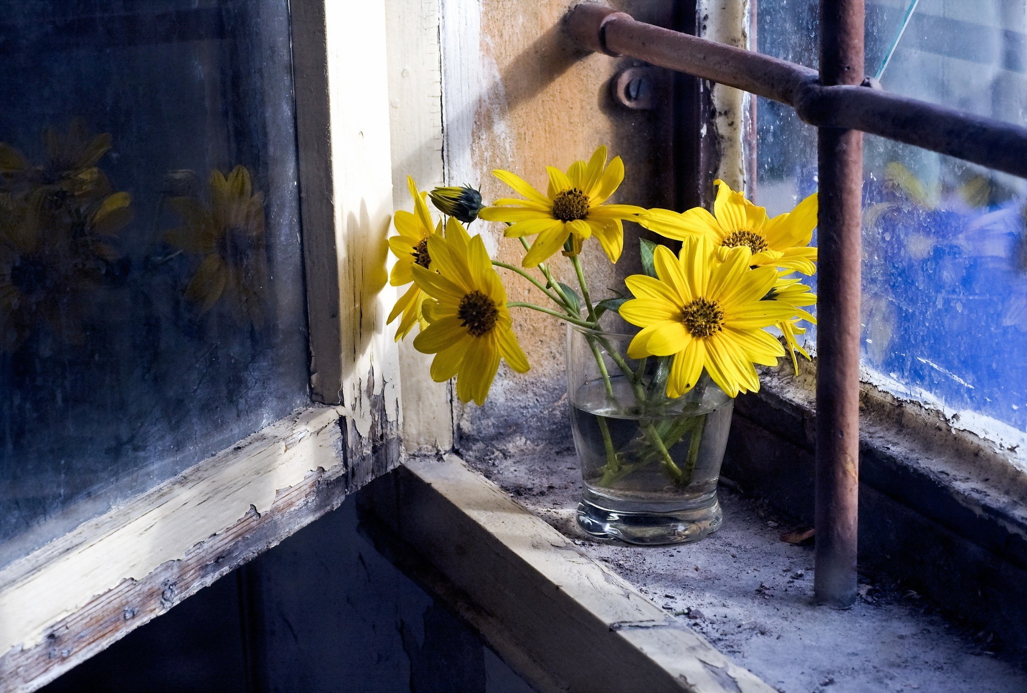 window, Flowers Wallpaper