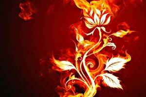 fire, Flowers