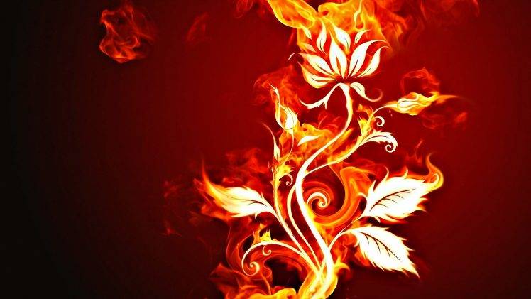 fire, Flowers HD Wallpaper Desktop Background