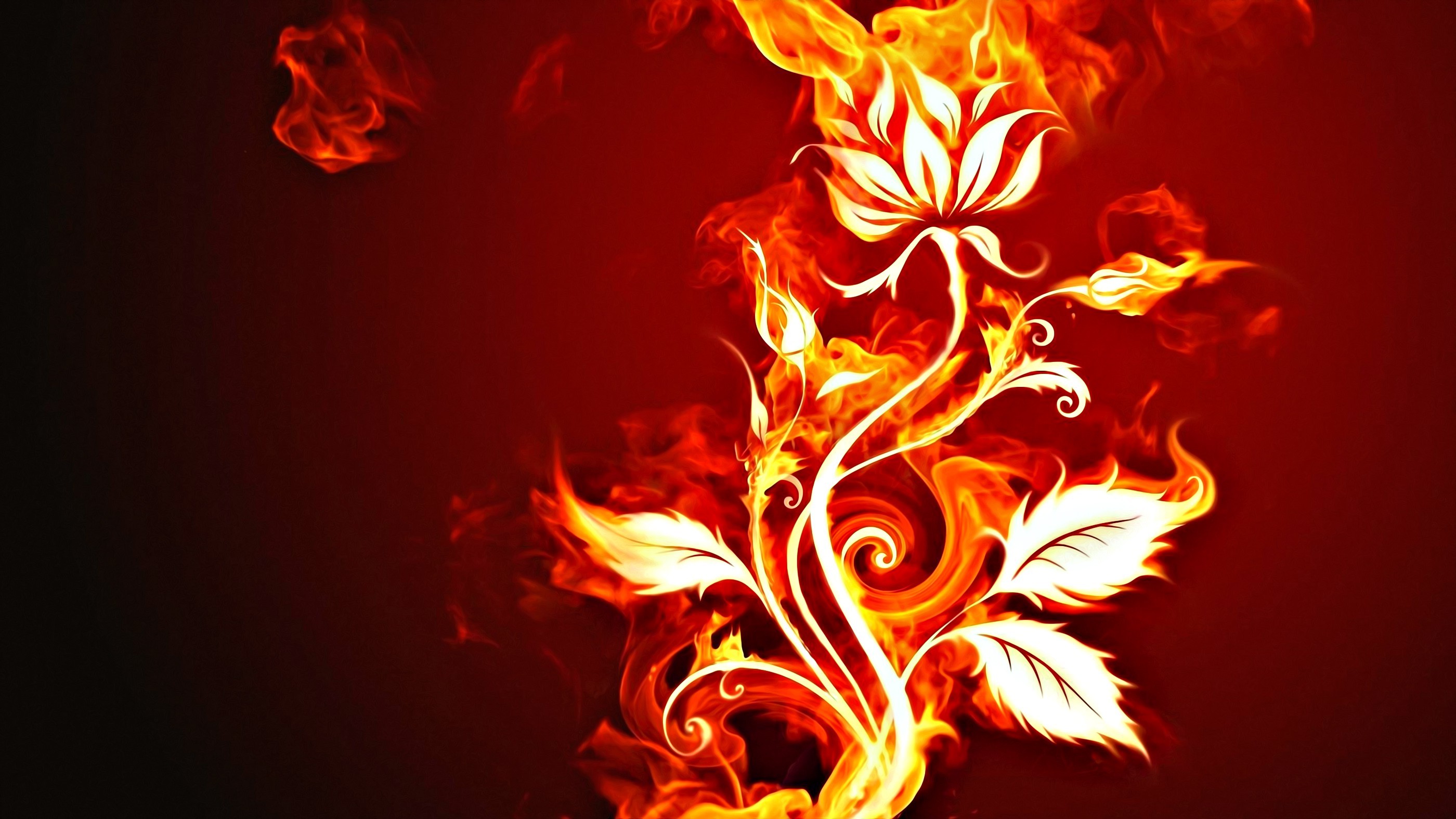 fire, Flowers Wallpaper