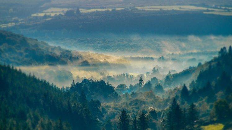 nature, Mist, Mountain, Forest, Sunrise HD Wallpaper Desktop Background