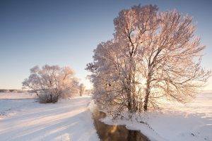 nature, Snow, Winter, Trees, River