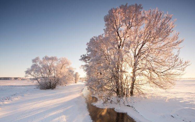 nature, Snow, Winter, Trees, River HD Wallpaper Desktop Background