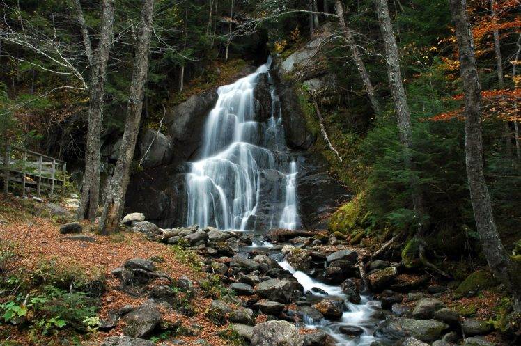 nature, Forest, Trees, Vermont HD Wallpaper Desktop Background