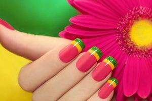 colorful, Minimalism, Flowers, Hand, Fingers, Long Nails, Depth Of Field, Pink Nails, Shiny, Petals