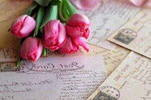 flowers, Photography, Tulips