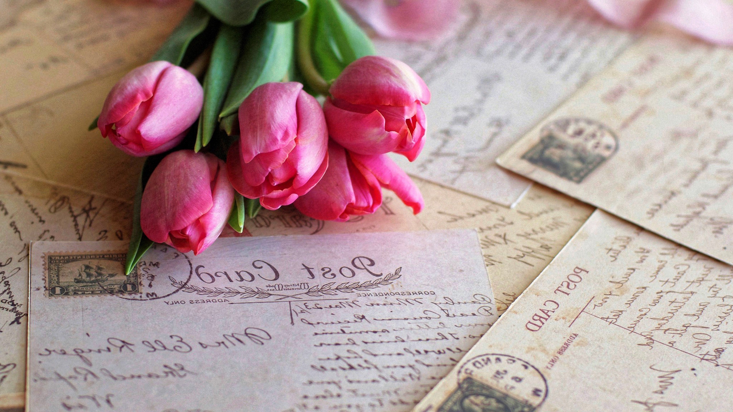 flowers, Photography, Tulips Wallpaper