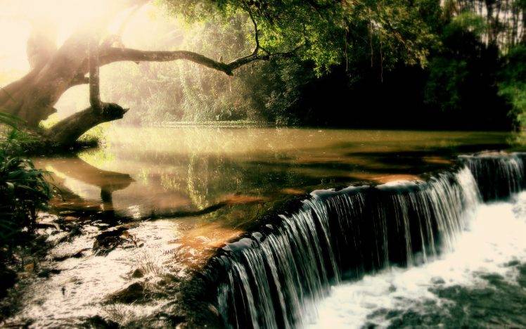 nature, Waterfall, Grass, Trees, River HD Wallpaper Desktop Background
