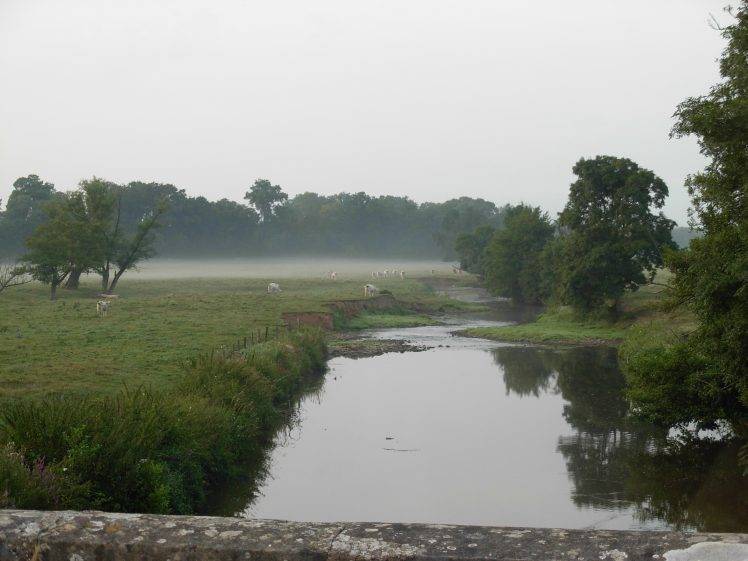 France, River Grosne, Burgundy, Mist, Morning HD Wallpaper Desktop Background