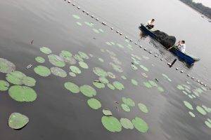 Beijing, Fishing, Lake